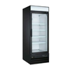 EFI F1-31GD commercial glass door freezer for showcasing frozen goods in convenience stores and supermarkets.