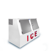 Leer L462LASP low-profile outdoor ice merchandiser showing double doors and icy logo.